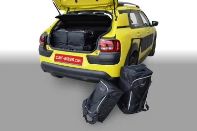 C4 Cactus